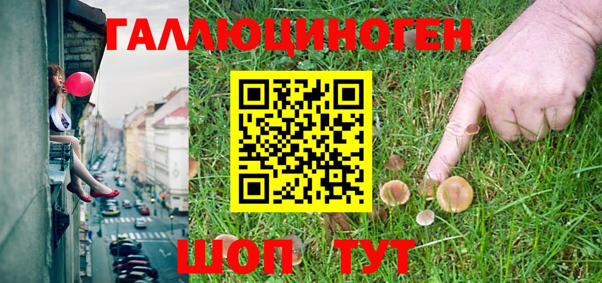 Галлюциногенные грибы Psilocybine cubensis  как найти наркотики  Армавир 